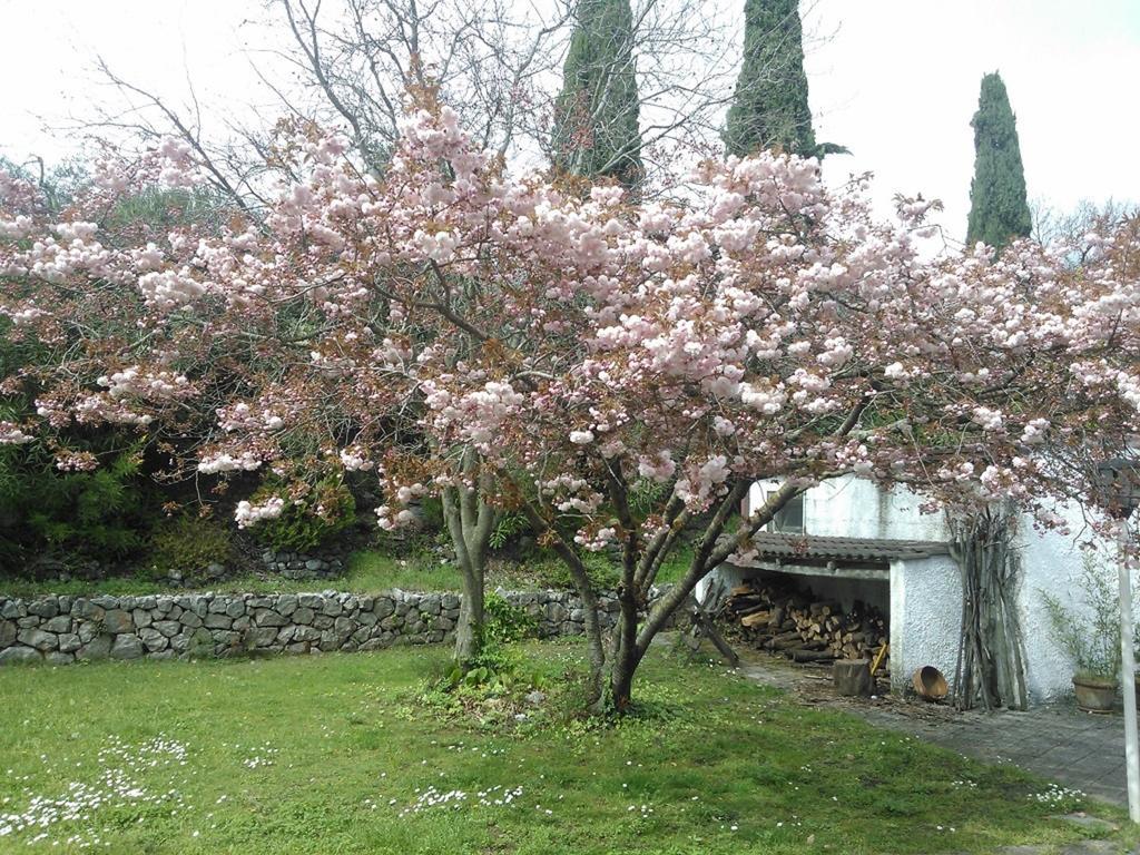 B&B Villa Ada 福尔米亚 外观 照片