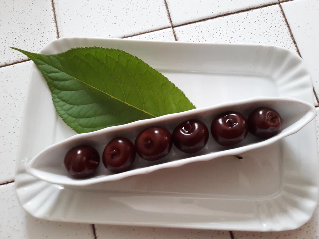 B&B Villa Ada 福尔米亚 外观 照片